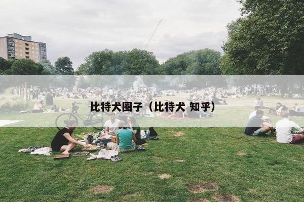 比特犬圈子（比特犬 知乎）