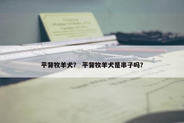 平背牧羊犬？ 平背牧羊犬是串子吗？