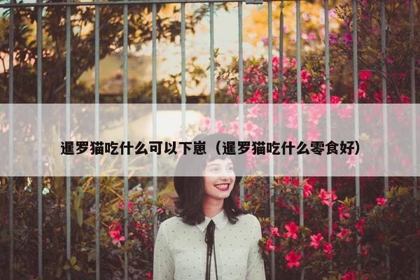 暹罗猫吃什么可以下崽（暹罗猫吃什么零食好）
