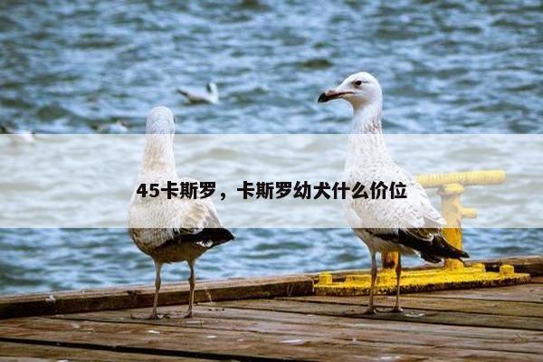 45卡斯罗，卡斯罗幼犬什么价位