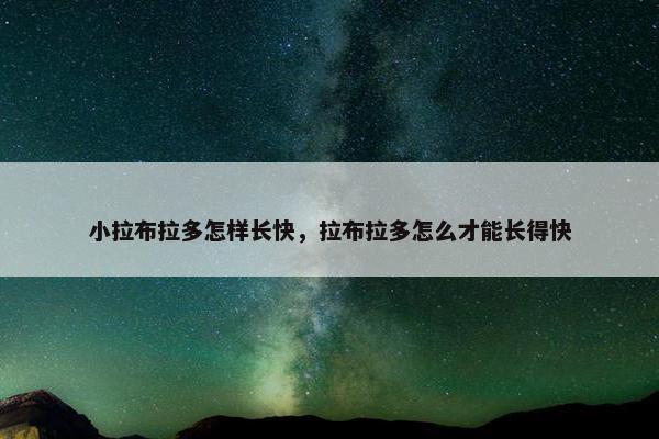 小拉布拉多怎样长快，拉布拉多怎么才能长得快