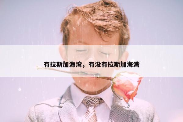 有拉斯加海湾，有没有拉斯加海湾