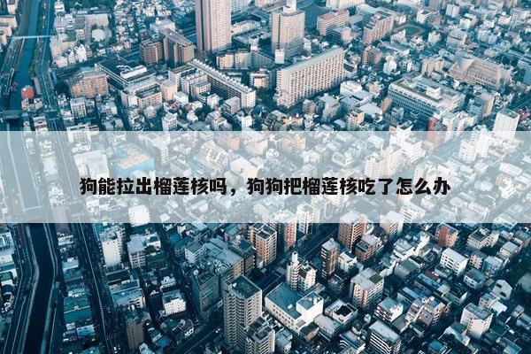 狗能拉出榴莲核吗，狗狗把榴莲核吃了怎么办