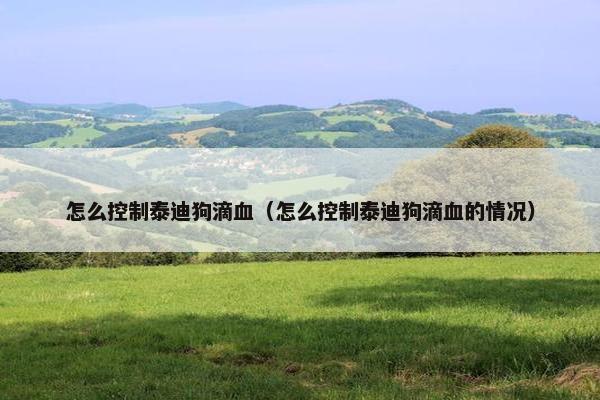 怎么控制泰迪狗滴血（怎么控制泰迪狗滴血的情况）
