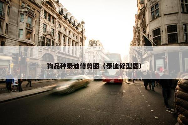 狗品种泰迪修剪图（泰迪修型图）