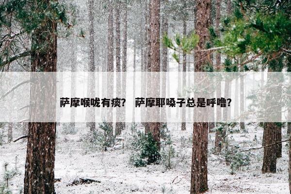 萨摩喉咙有痰？ 萨摩耶嗓子总是呼噜？