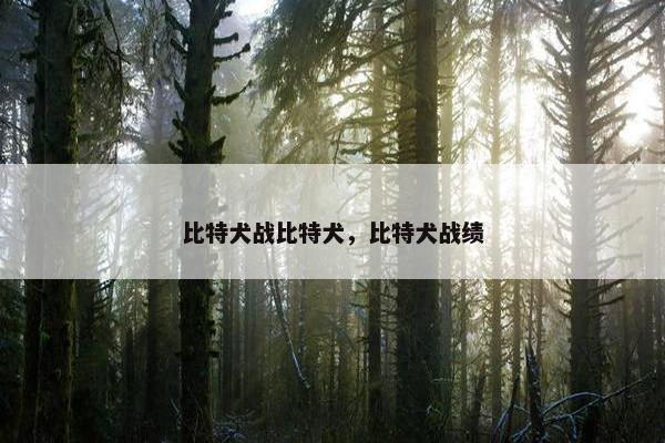比特犬战比特犬，比特犬战绩