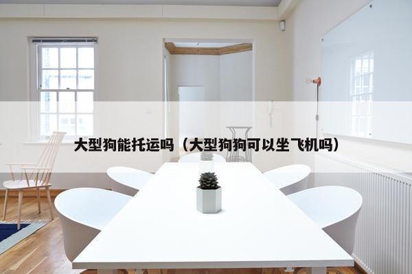 大型狗能托运吗（大型狗狗可以坐飞机吗）