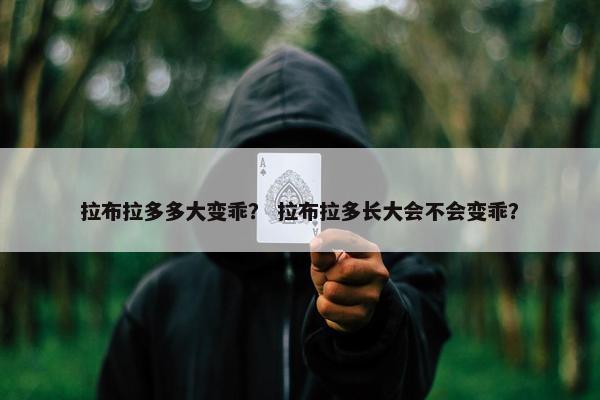 拉布拉多多大变乖？ 拉布拉多长大会不会变乖？