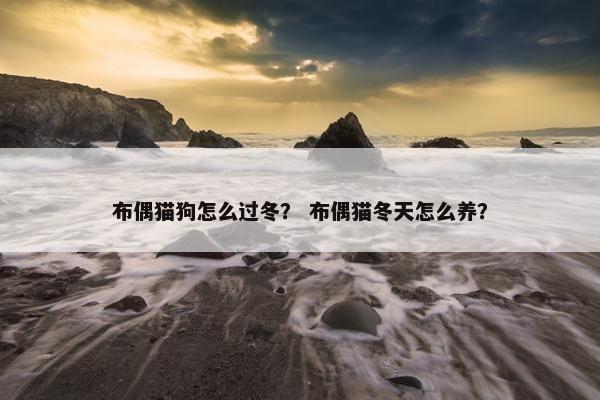 布偶猫狗怎么过冬？ 布偶猫冬天怎么养？
