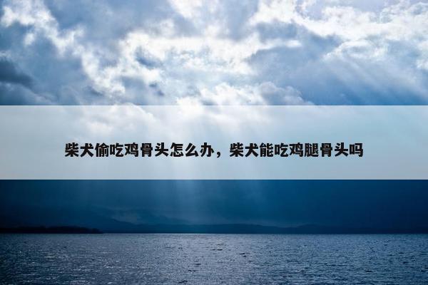 柴犬偷吃鸡骨头怎么办，柴犬能吃鸡腿骨头吗