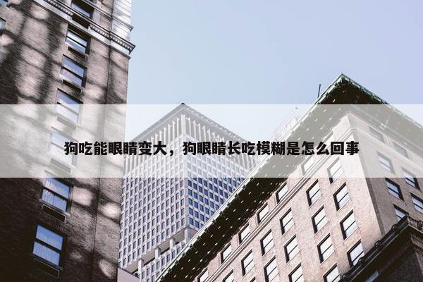 狗吃能眼睛变大，狗眼睛长吃模糊是怎么回事