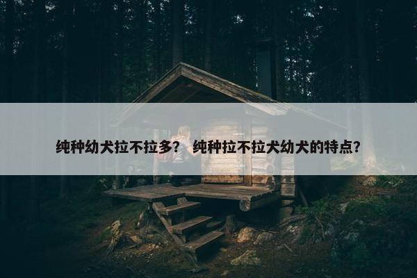 纯种幼犬拉不拉多？ 纯种拉不拉犬幼犬的特点？