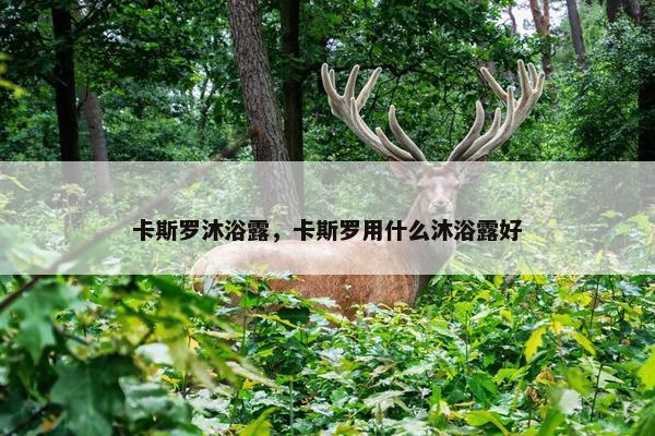 卡斯罗沐浴露，卡斯罗用什么沐浴露好
