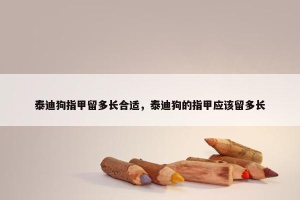 泰迪狗指甲留多长合适，泰迪狗的指甲应该留多长