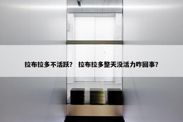 拉布拉多不活跃？ 拉布拉多整天没活力咋回事？