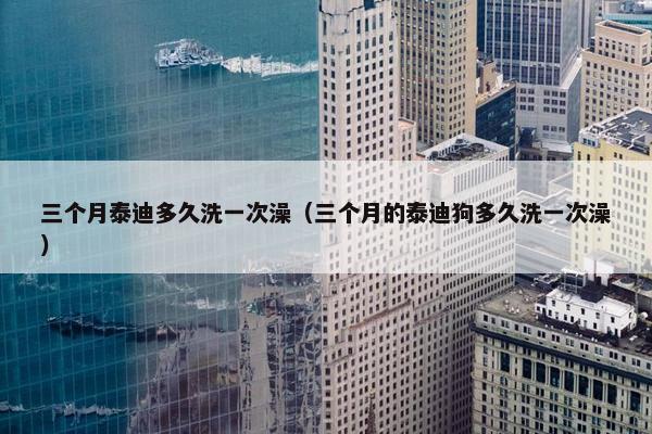 三个月泰迪多久洗一次澡（三个月的泰迪狗多久洗一次澡）