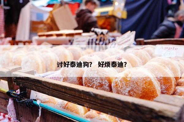 讨好泰迪狗？ 好烦泰迪？