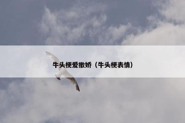 牛头梗爱撒娇（牛头梗表情）