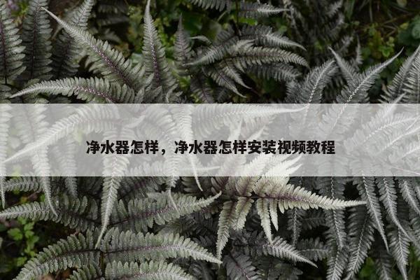 净水器怎样，净水器怎样安装视频教程