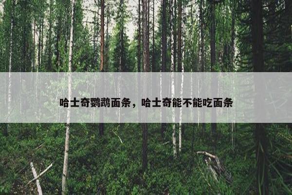 哈士奇鹦鹉面条，哈士奇能不能吃面条