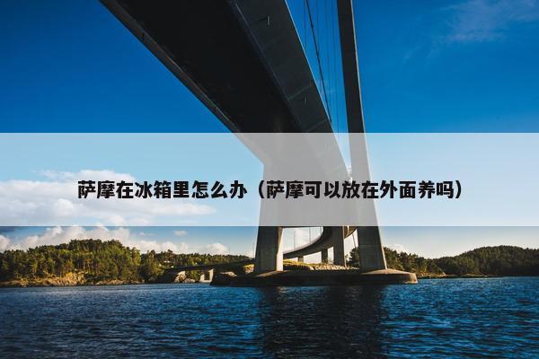 萨摩在冰箱里怎么办（萨摩可以放在外面养吗）