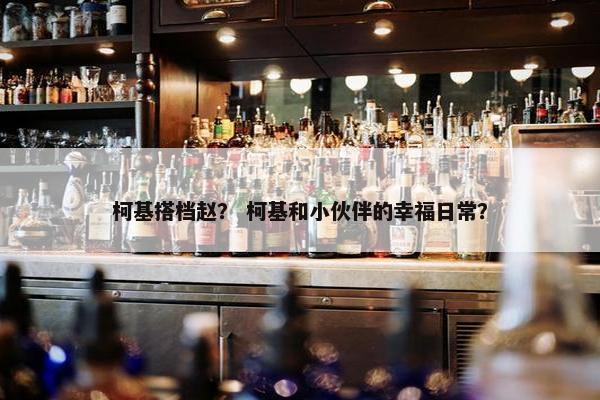 柯基搭档赵？ 柯基和小伙伴的幸福日常？