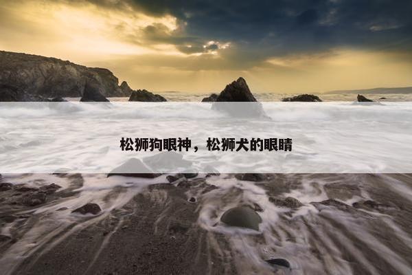 松狮狗眼神，松狮犬的眼睛