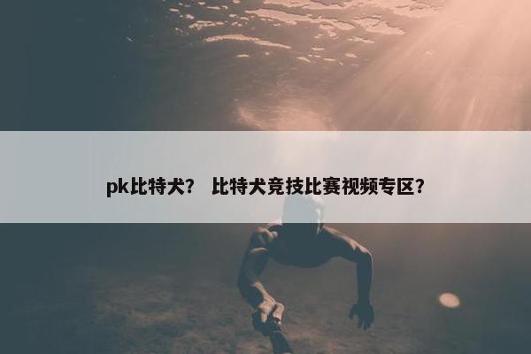 pk比特犬？ 比特犬竞技比赛视频专区？