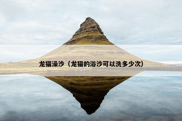 龙猫澡沙（龙猫的浴沙可以洗多少次）