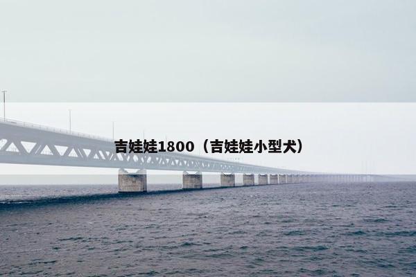吉娃娃1800（吉娃娃小型犬）