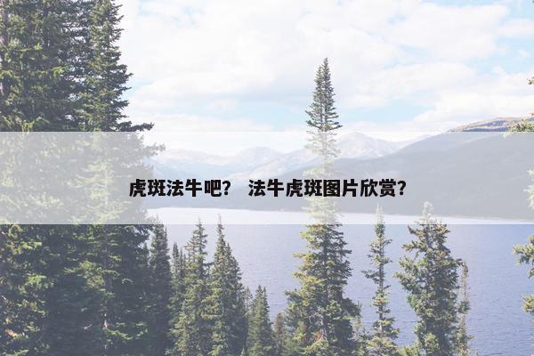 虎斑法牛吧？ 法牛虎斑图片欣赏？