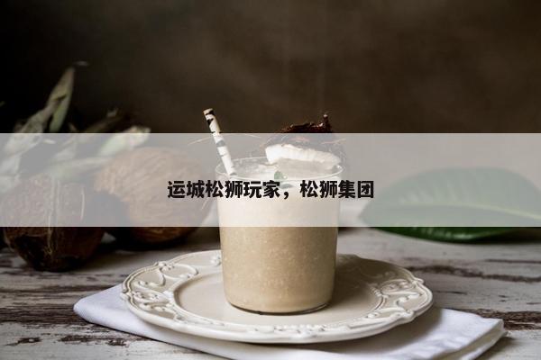 运城松狮玩家，松狮集团