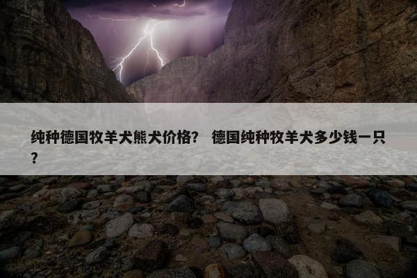 纯种德国牧羊犬熊犬价格？ 德国纯种牧羊犬多少钱一只？