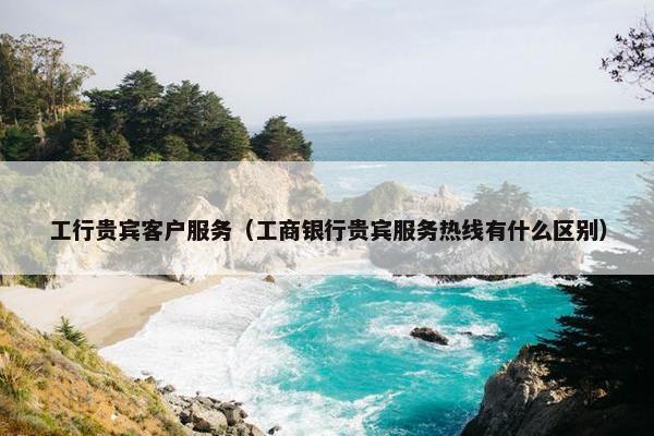 工行贵宾客户服务（工商银行贵宾服务热线有什么区别）