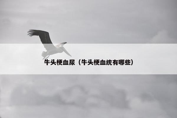 牛头梗血尿（牛头梗血统有哪些）