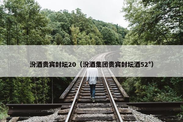 汾酒贵宾封坛20（汾酒集团贵宾封坛酒52°）