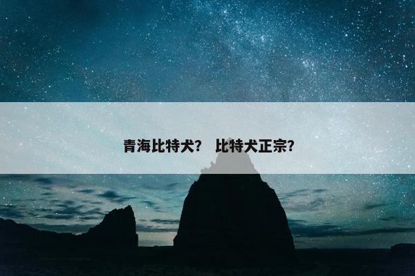 青海比特犬？ 比特犬正宗？
