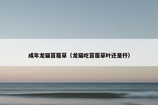 成年龙猫苜蓿草（龙猫吃苜蓿草叶还是杆）