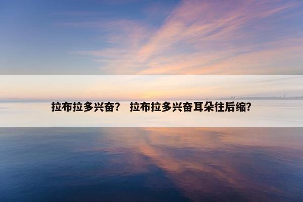 拉布拉多兴奋？ 拉布拉多兴奋耳朵往后缩？