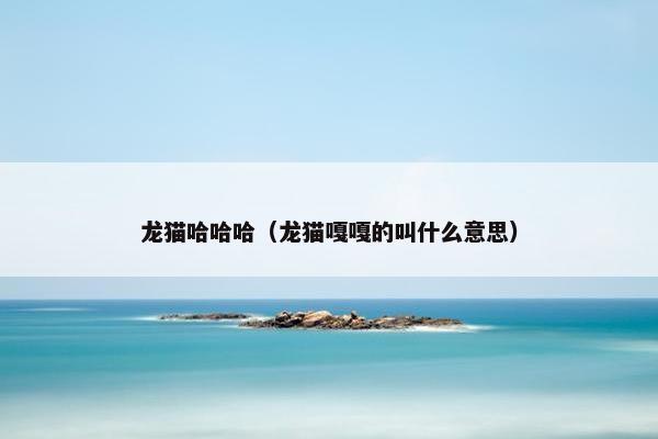 龙猫哈哈哈（龙猫嘎嘎的叫什么意思）
