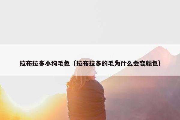 拉布拉多小狗毛色（拉布拉多的毛为什么会变颜色）