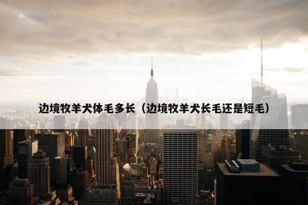 边境牧羊犬体毛多长（边境牧羊犬长毛还是短毛）