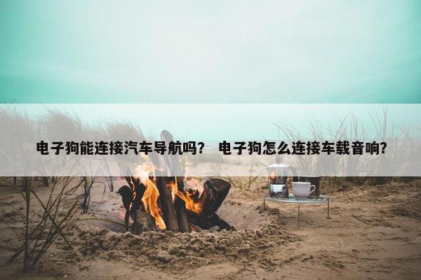 电子狗能连接汽车导航吗？ 电子狗怎么连接车载音响？