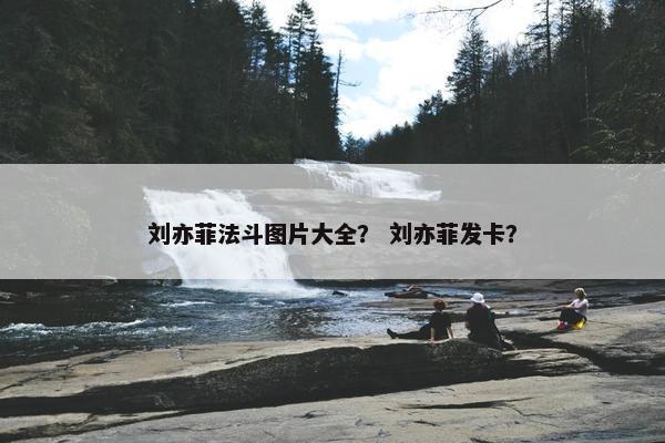 刘亦菲法斗图片大全？ 刘亦菲发卡？