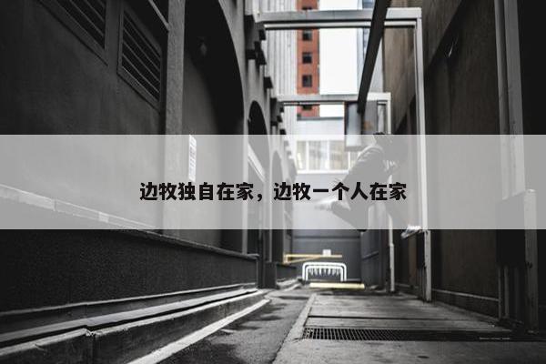 边牧独自在家，边牧一个人在家