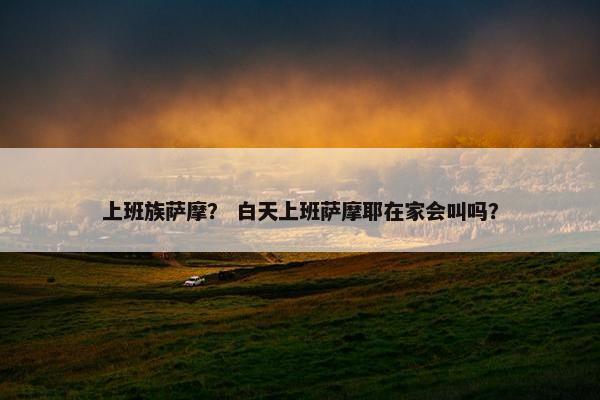上班族萨摩？ 白天上班萨摩耶在家会叫吗？