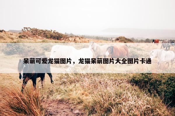 呆萌可爱龙猫图片，龙猫呆萌图片大全图片卡通