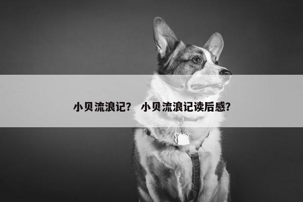 小贝流浪记？ 小贝流浪记读后感？
