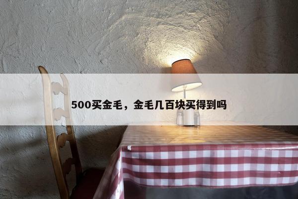 500买金毛，金毛几百块买得到吗